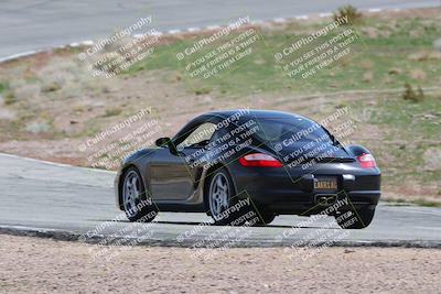 media/Mar-04-2023-West Coast Racing (Sat) [[a3f8e4c156]]/Green/Back Shots/